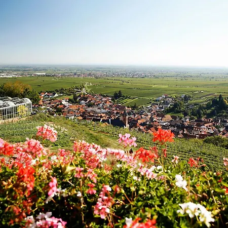 酒店 Arens 327mnn 3*