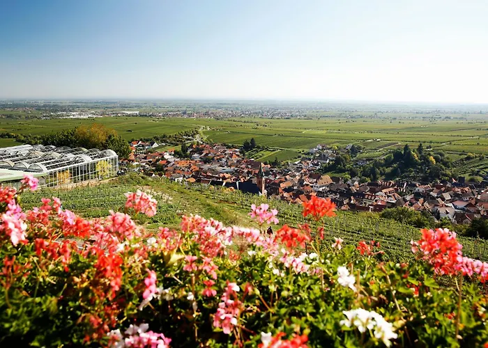 酒店 Arens 327mnn 3*