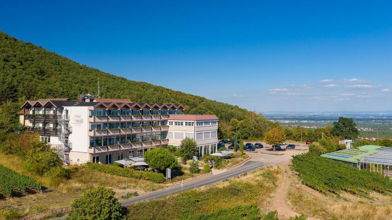 Faszinierend Arens Hotel St Martin Bild